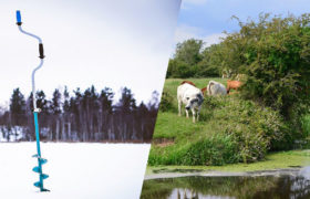 split image - ice fishing auger on the left and cows graze near pond on the right