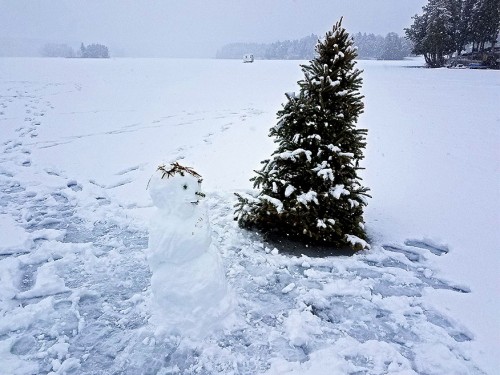 Snowman guarding Christmas tree